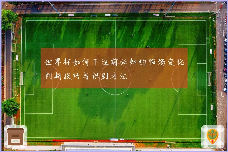 世界杯如何下注前必知的临场变化判断技巧与识别方法