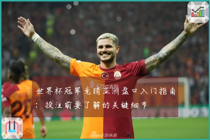 世界杯冠军竞猜亚洲盘口入门指南：投注前要了解的关键细节