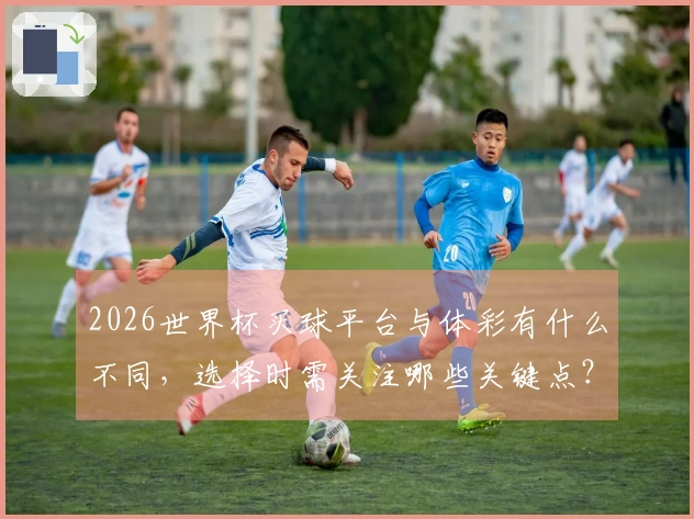2026世界杯买球平台与体彩有什么不同，选择时需关注哪些关键点？