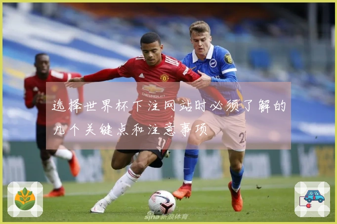 选择世界杯下注网站时必须了解的几个关键点和注意事项