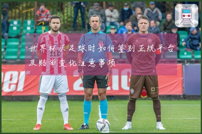 世界杯买足球时如何鉴别正规平台及赔率变化注意事项