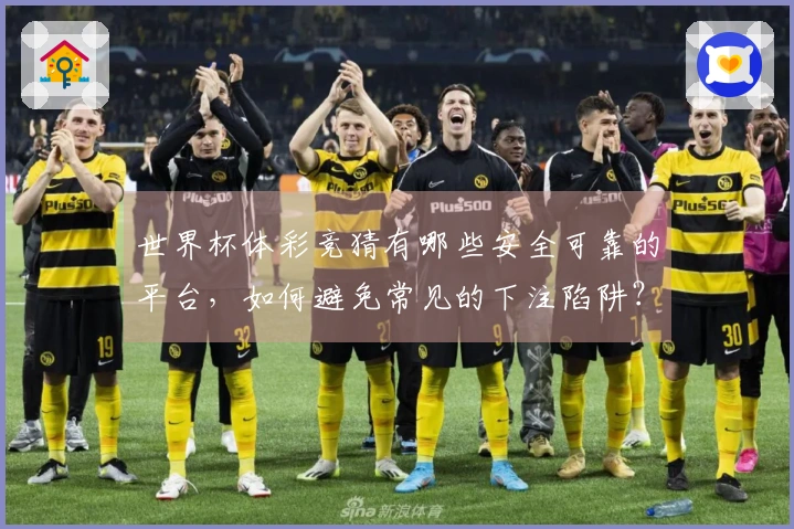 世界杯体彩竞猜有哪些安全可靠的平台，如何避免常见的下注陷阱？