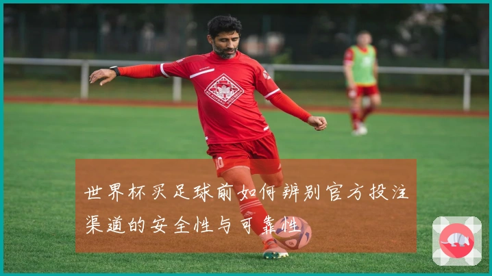 世界杯买足球前如何辨别官方投注渠道的安全性与可靠性