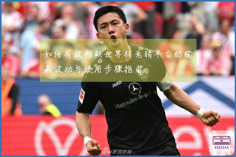 如何有效判断世界杯竞猜平台的输赢波动与使用步骤指南