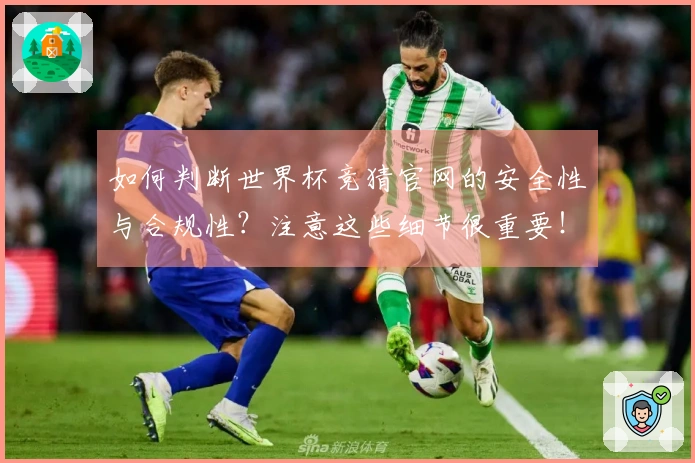 如何判断世界杯竞猜官网的安全性与合规性？注意这些细节很重要！