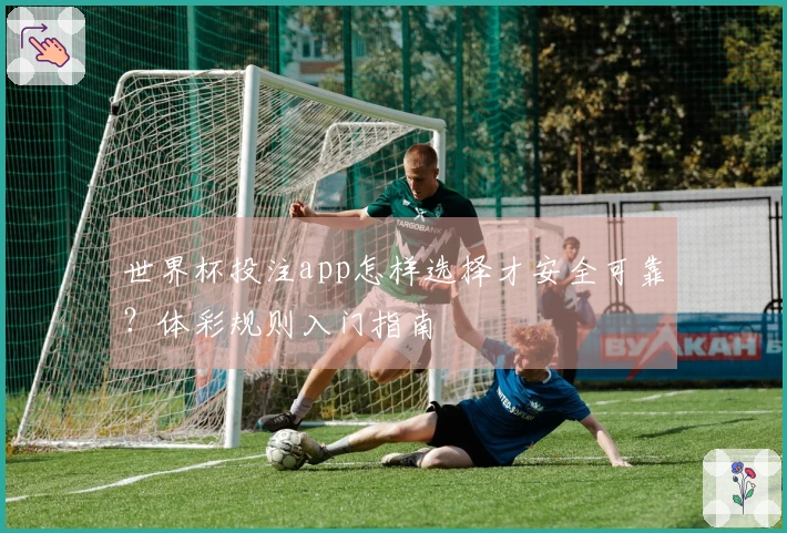 世界杯投注app怎样选择才安全可靠？体彩规则入门指南
