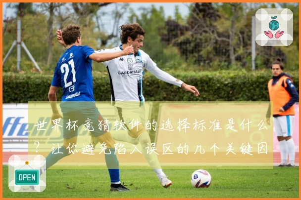 世界杯竞猜软件的选择标准是什么？让你避免陷入误区的几个关键因素