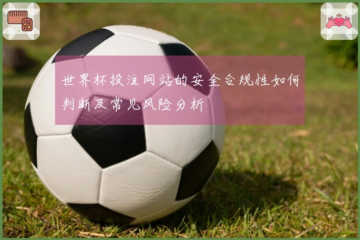 世界杯投注网站的安全合规性如何判断及常见风险分析