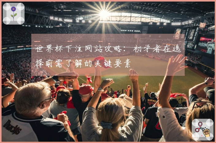 世界杯下注网站攻略：初学者在选择前需了解的关键要素