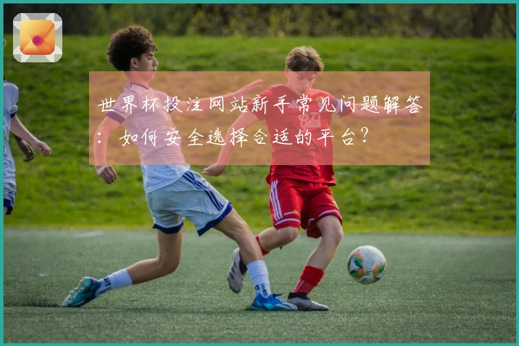 世界杯投注网站新手常见问题解答：如何安全选择合适的平台？