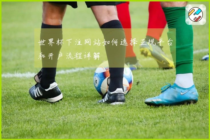 世界杯下注网站如何选择正规平台和开户流程详解