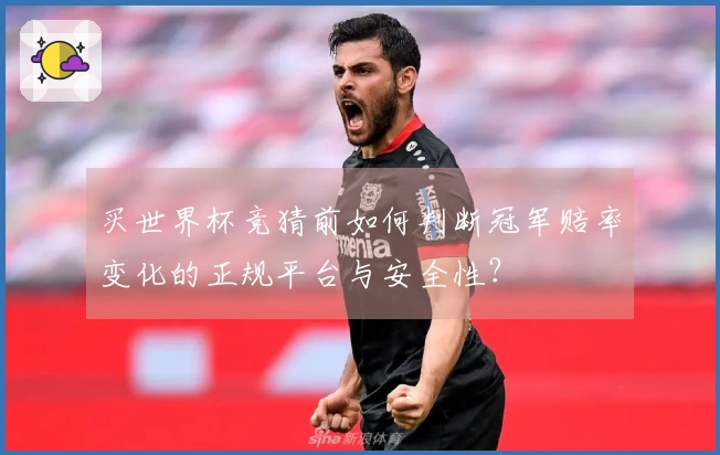 买世界杯竞猜前如何判断冠军赔率变化的正规平台与安全性?