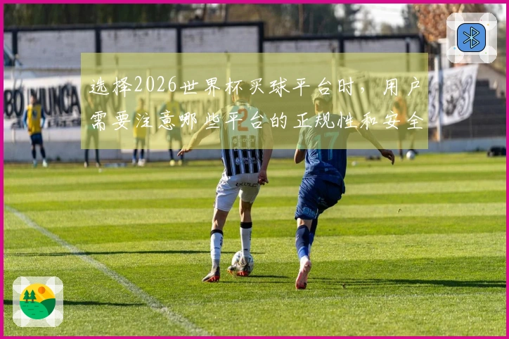 选择2026世界杯买球平台时，用户需要注意哪些平台的正规性和安全性？