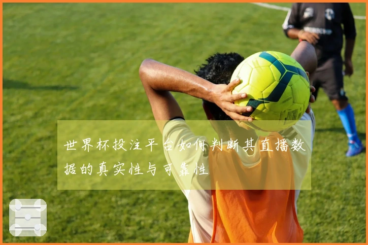 世界杯投注平台如何判断其直播数据的真实性与可靠性