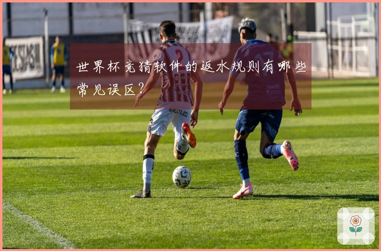 世界杯竞猜软件的返水规则有哪些常见误区？